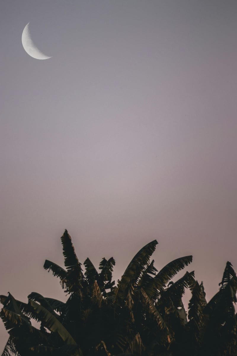 moonwork mini: waning crescent 🌘