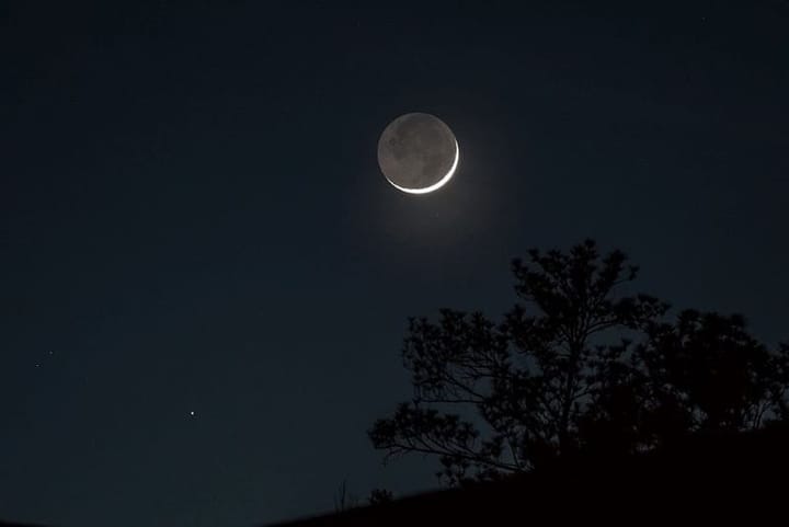 waxing crescent moon in a clear sky. you can see the whole moon by earthshine. below, a silhouetted tree & a single star.