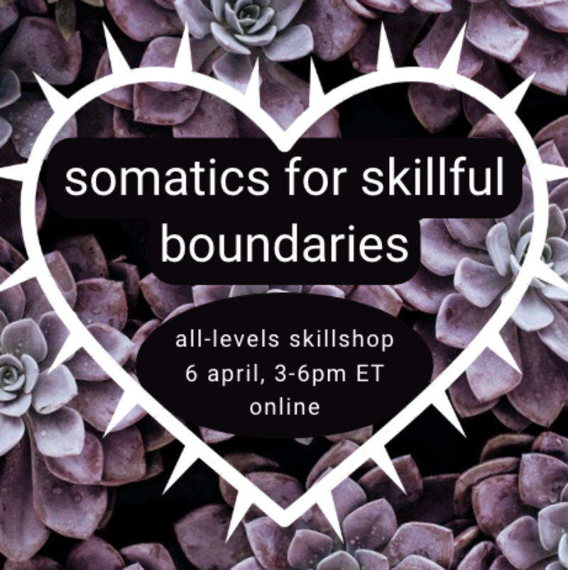 a spiky heart shape with the text "somatics for skillful boundaries: all-levels skillshop, 6 april, 3-6pm ET, online," over purple sedeveria succulents that are close together but boundaried