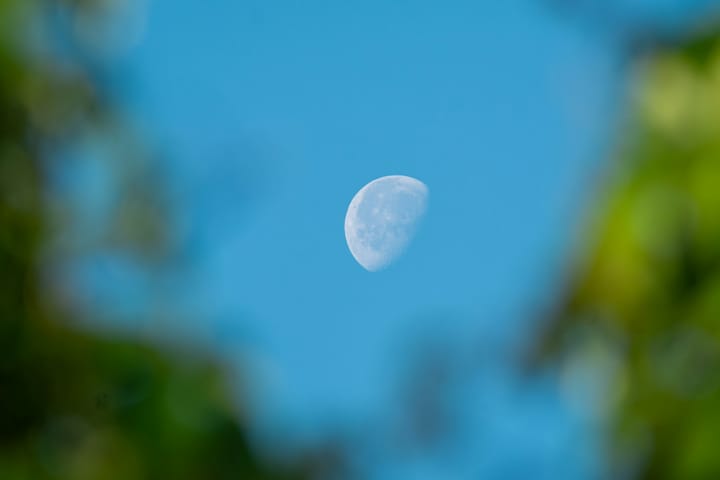 last quarter moon in a bright blue sky, with blurry green leaves in the foregroun